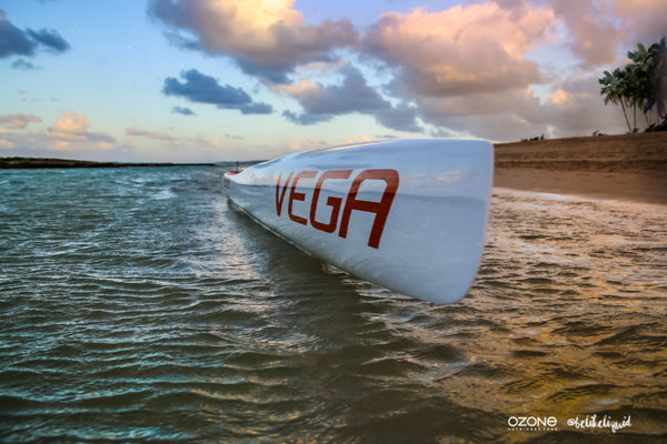 vega1_62ce95ab-9e0c-46a5-8e63-